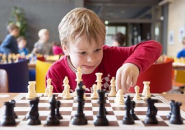 Шахматы для детей: какая польза