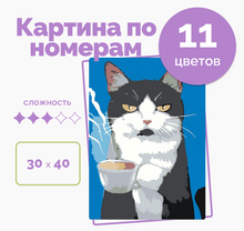 Картина по номерам 30*40 «Котик с кофе»