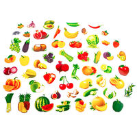 Магнитный набор "Овощи, фрукты разные продукты". Познаем мир. пакет (55 эл.)