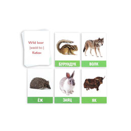 Обучающие карточки «Изучаем английский. Дикие животные», 16 штук